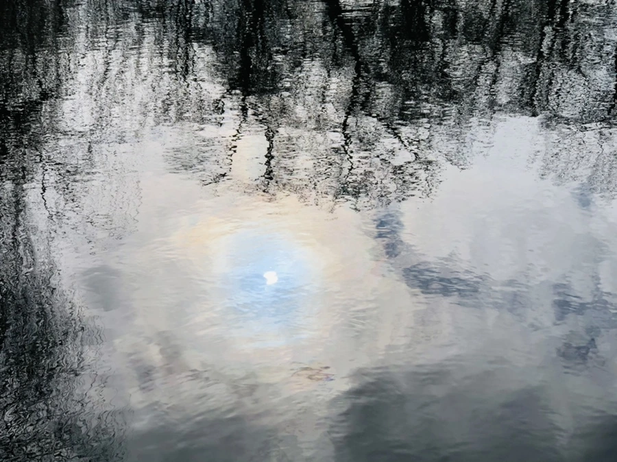 IMG_9865.jpg?type=w966