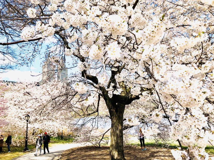 IMG_6864.jpg?type=w966