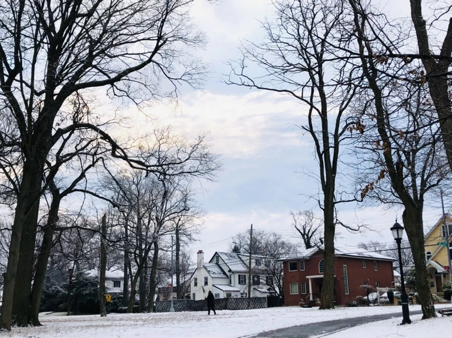 IMG_4551.jpg?type=w966