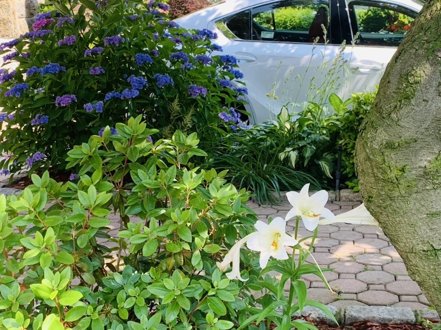 IMG_1349.jpg?type=w966