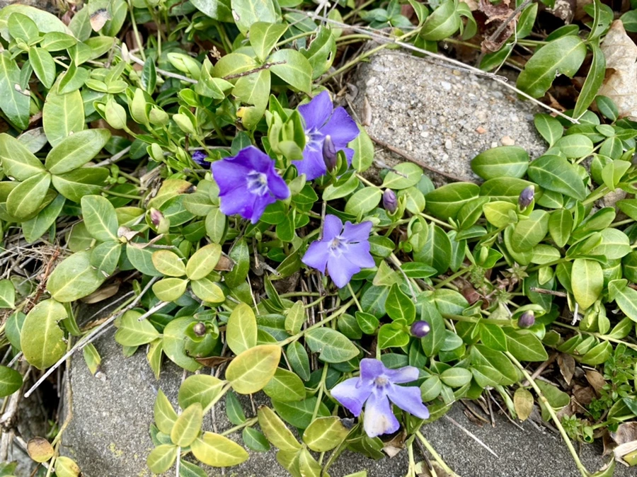 IMG_3461.jpg?type=w966