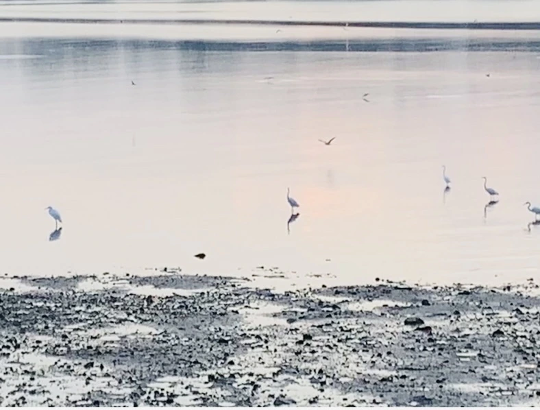 IMG_8254.jpg?type=w966