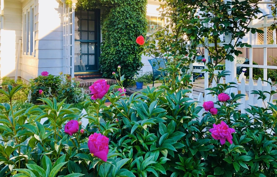 IMG_7698.jpg?type=w966