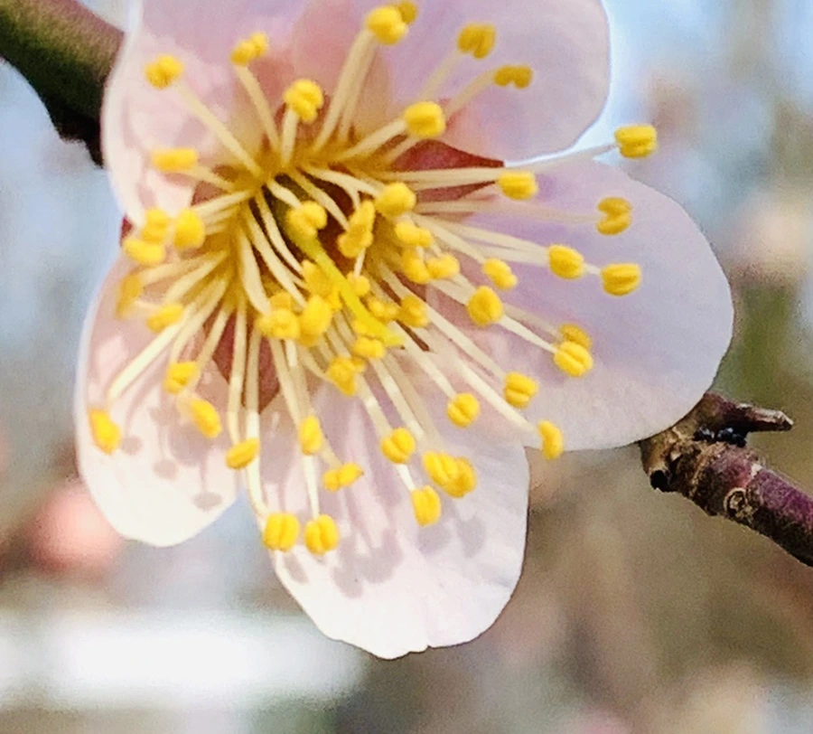 IMG_0256.jpg?type=w966