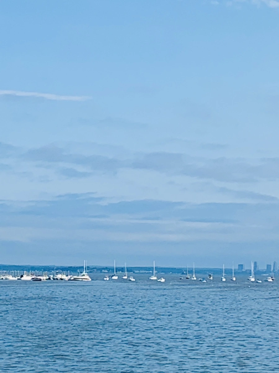 IMG_3192.jpg?type=w966