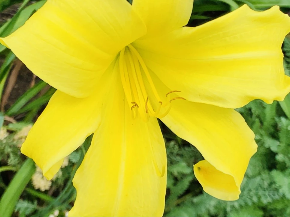 IMG_9356.jpg?type=w966