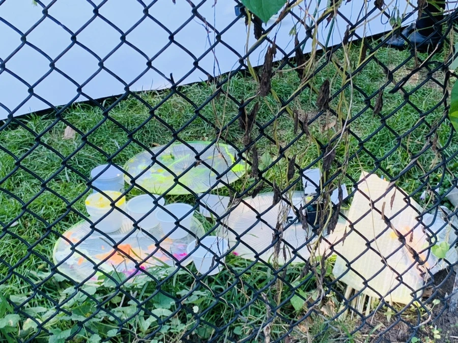 IMG_7648.jpg?type=w966