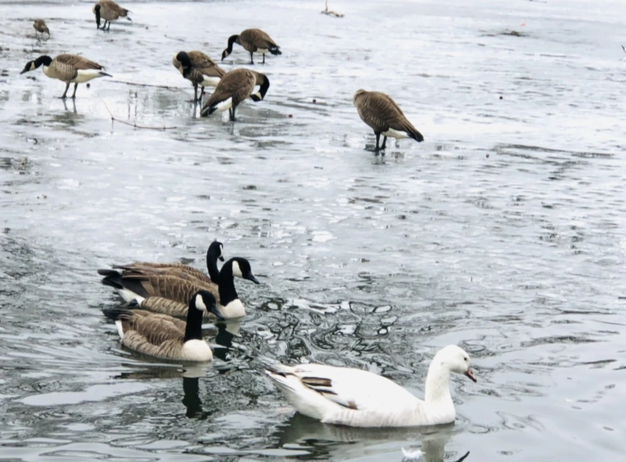 IMG_6202.jpg?type=w966