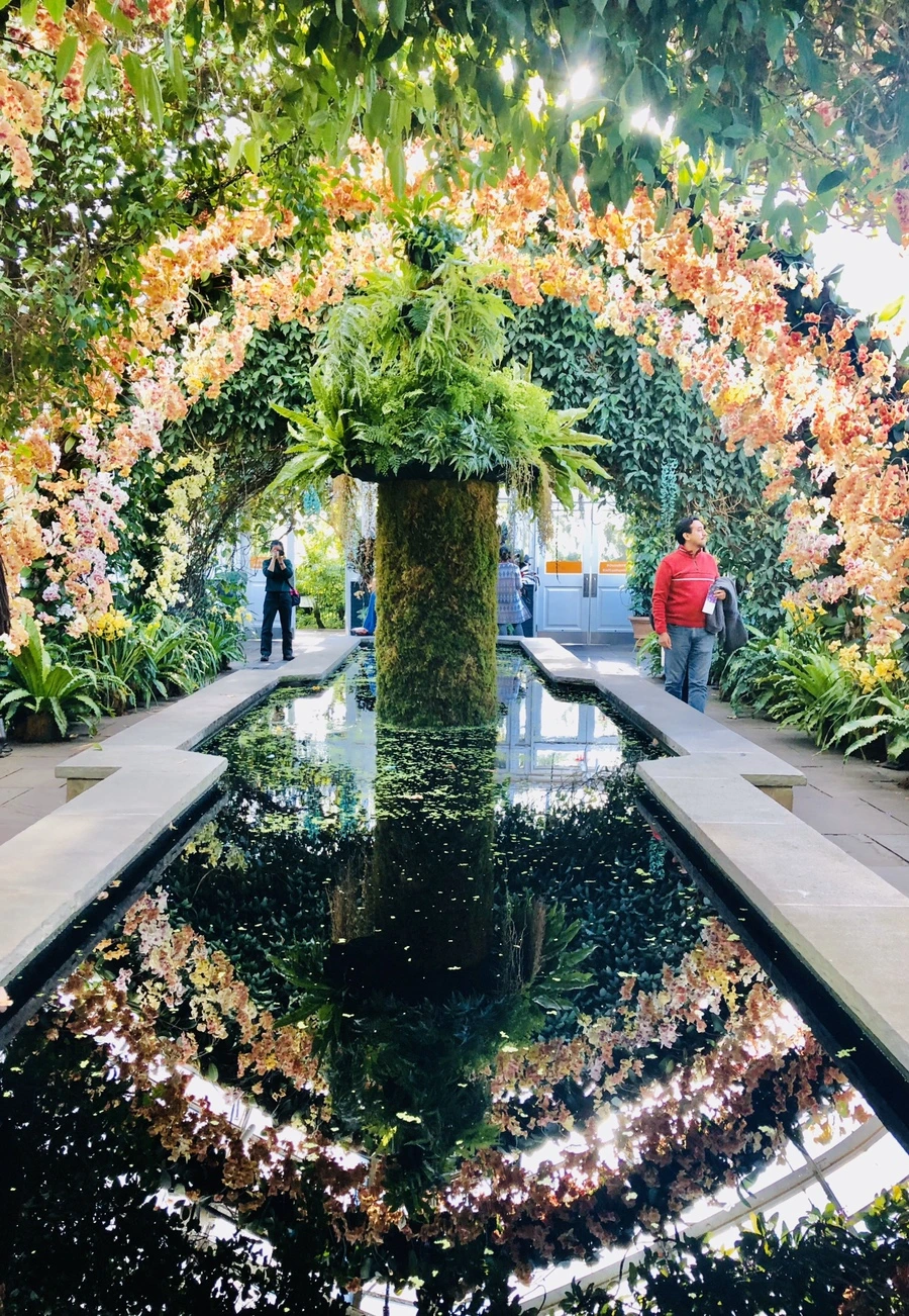 IMG_6305.jpg?type=w966