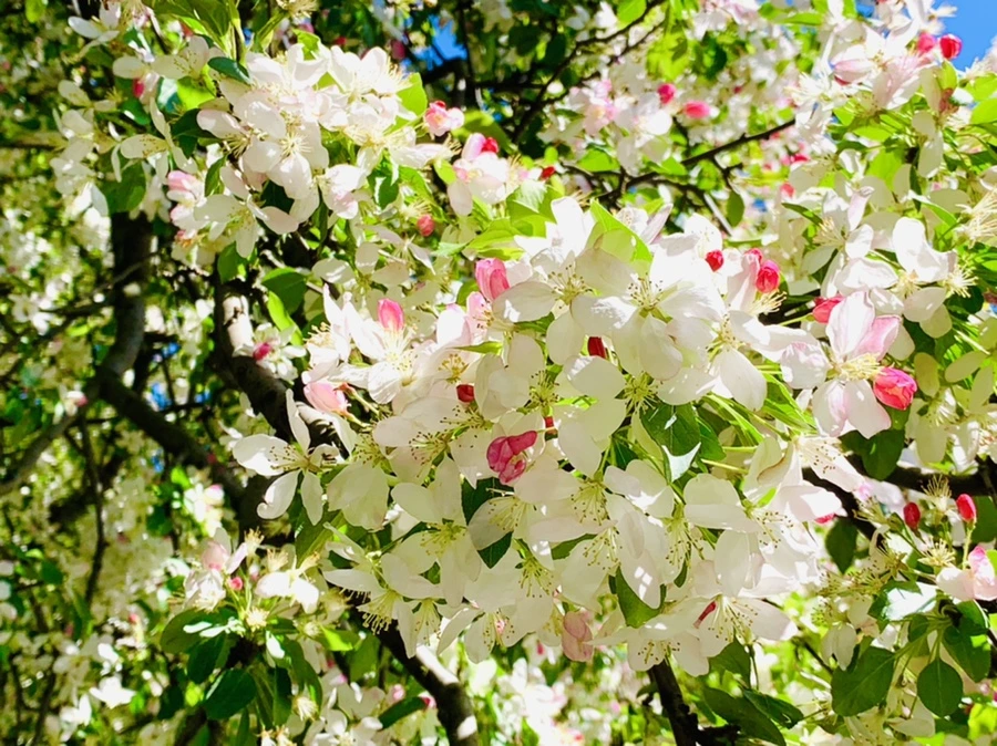 IMG_5748.jpg?type=w966