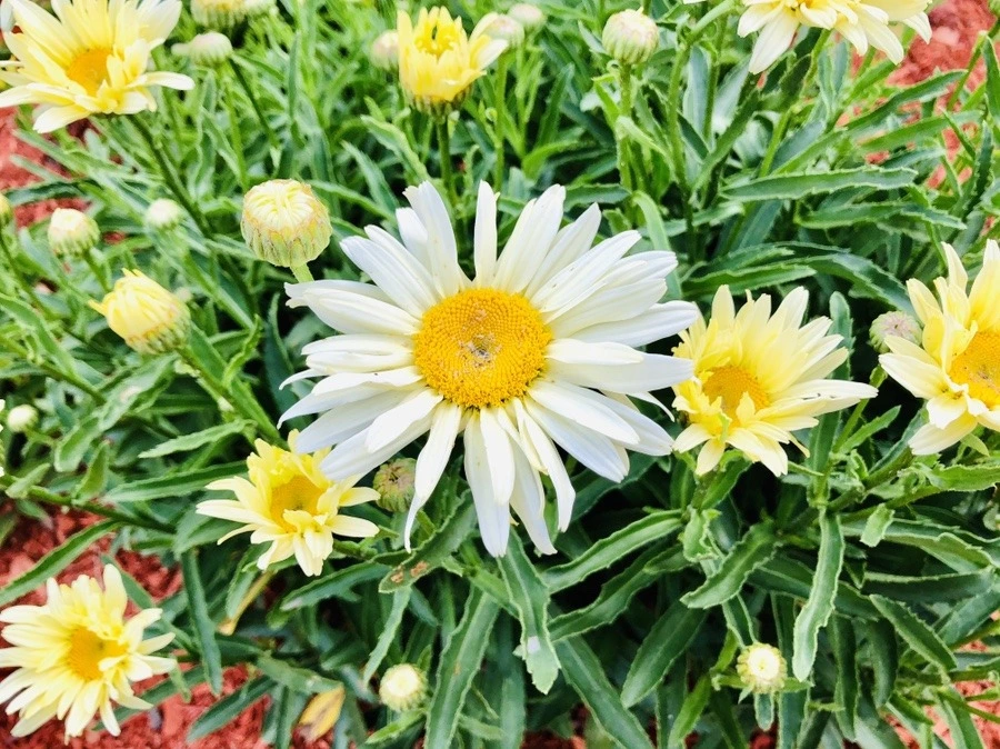 4Eh_KhF1tWqS2Do5TBhzk5CxrJo