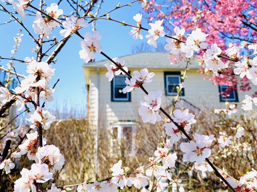 IMG_8032.jpg?type=w966