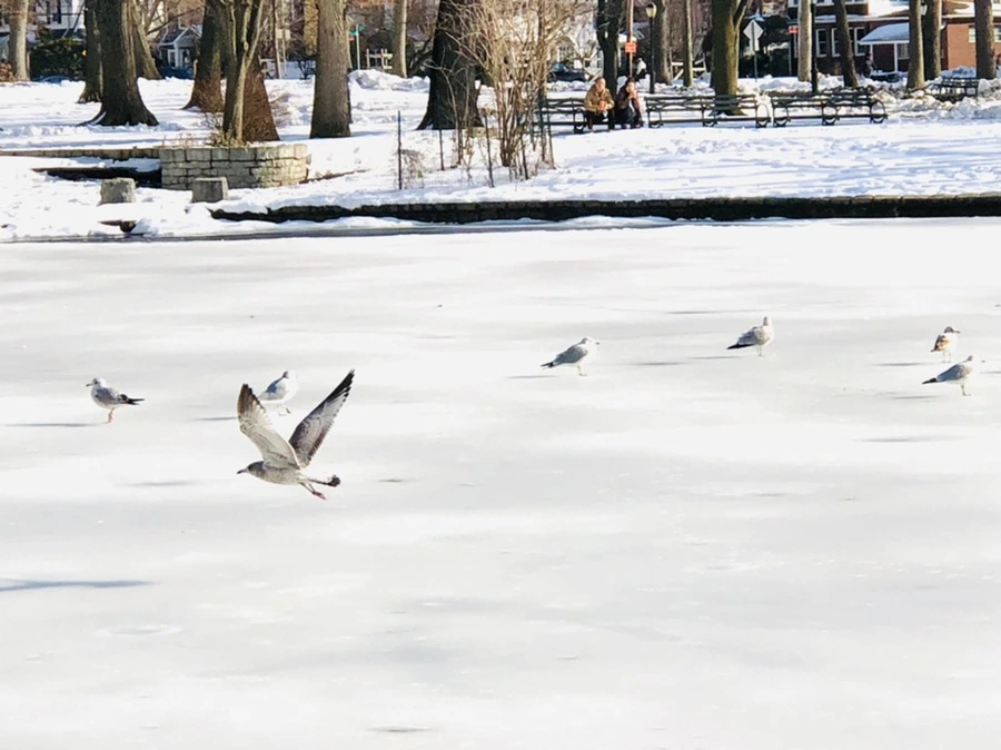 IMG_0348.jpg?type=w966