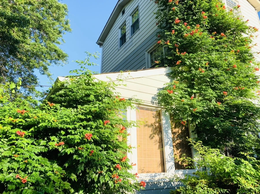 IMG_6491.jpg?type=w966