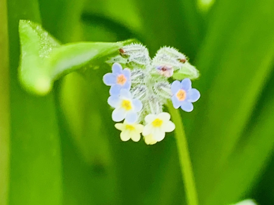 IMG_8675.jpg?type=w966