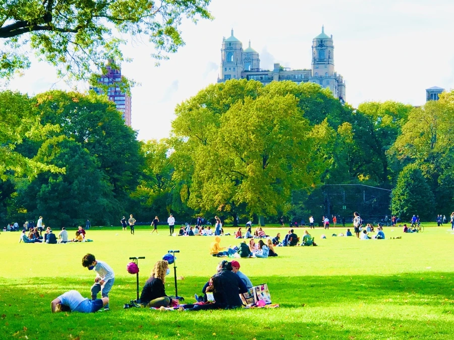 IMG_2079.jpg?type=w966