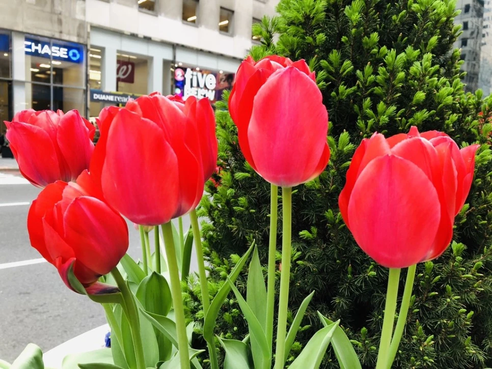 IMG_3870.jpg?type=w966