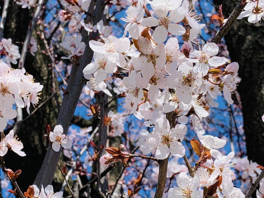 IMG_7690.jpg?type=w966