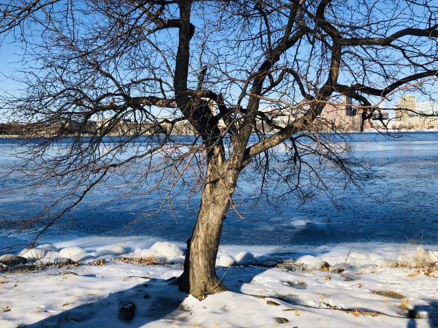 IMG_2850.jpg?type=w966