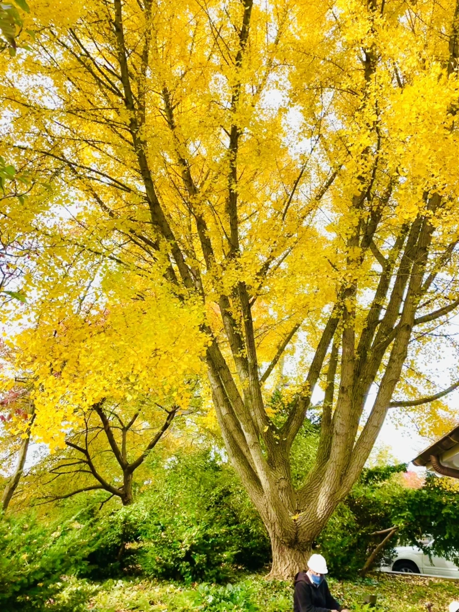 IMG_2316.jpg?type=w966