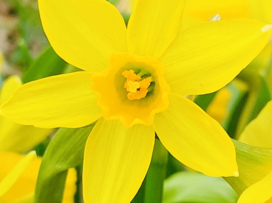 IMG_3481.jpg?type=w966