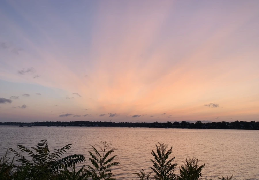 IMG_5354.jpg?type=w966