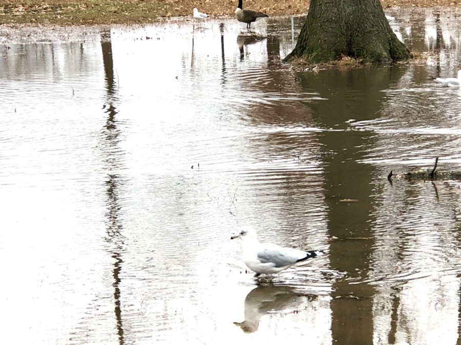 IMG_9401.jpg?type=w966