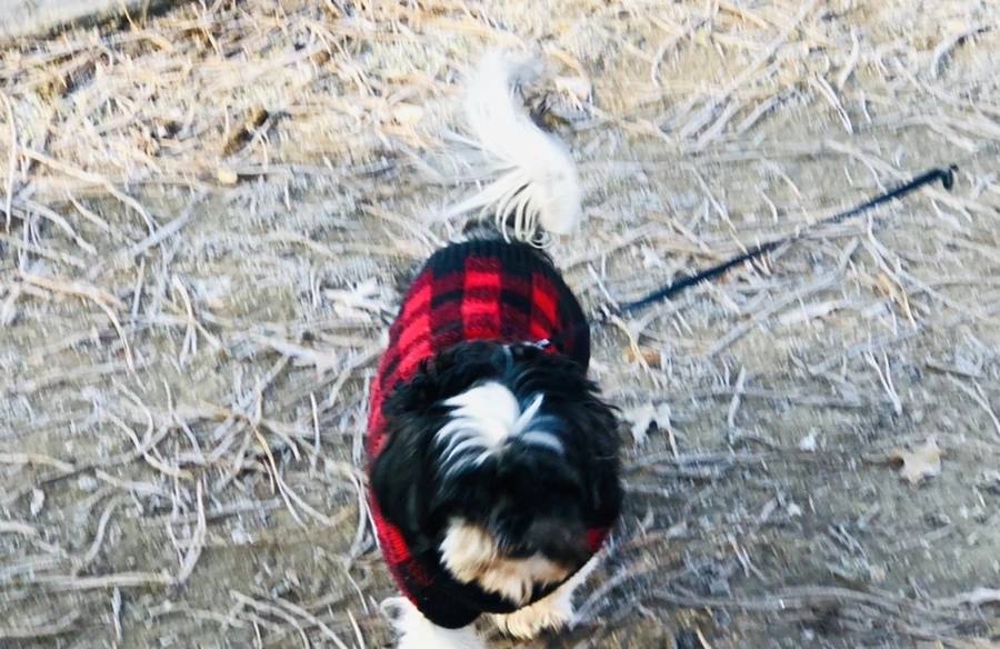 IMG_2281.jpg?type=w966