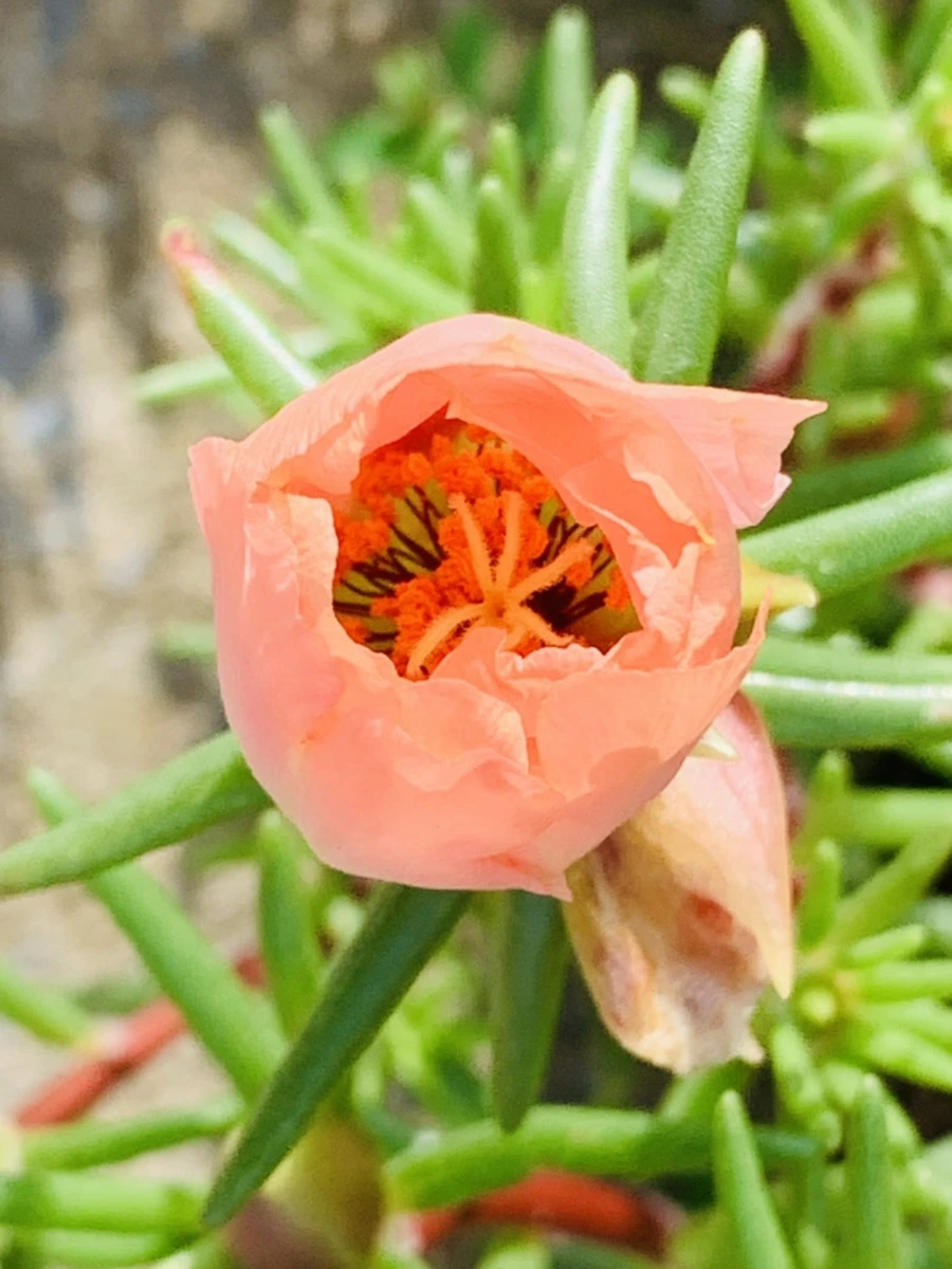 IMG_0348.jpg?type=w966