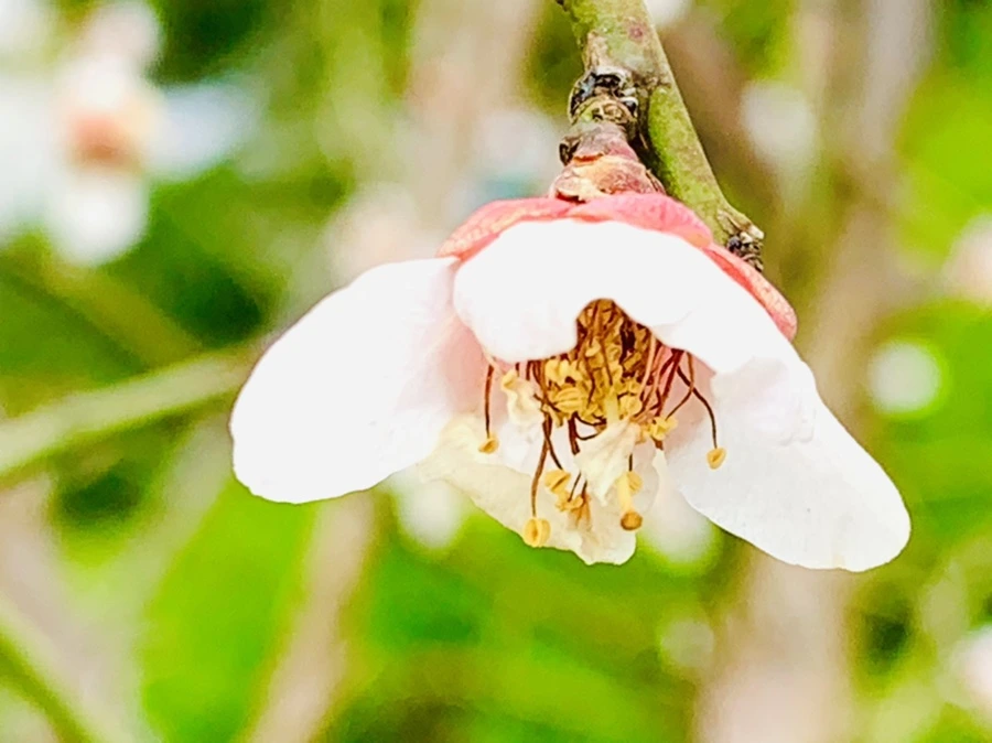 IMG_3647.jpg?type=w966