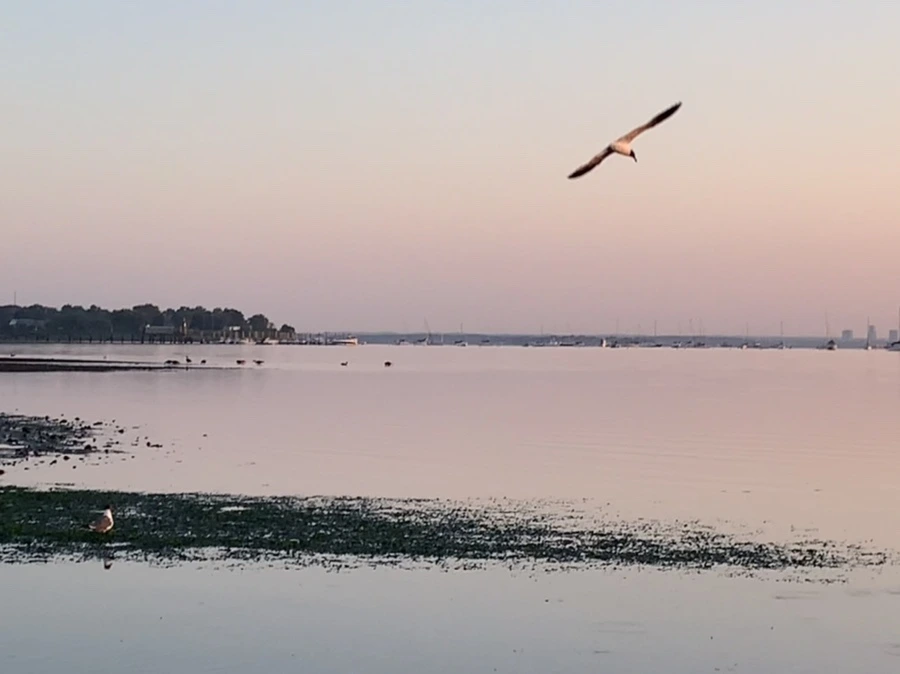 IMG_0153.jpg?type=w966