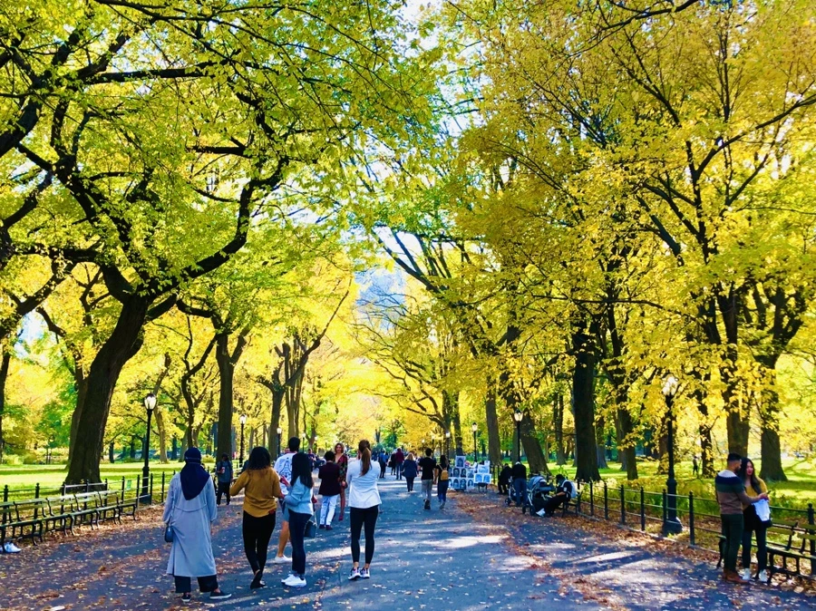 IMG_3502.jpg?type=w966