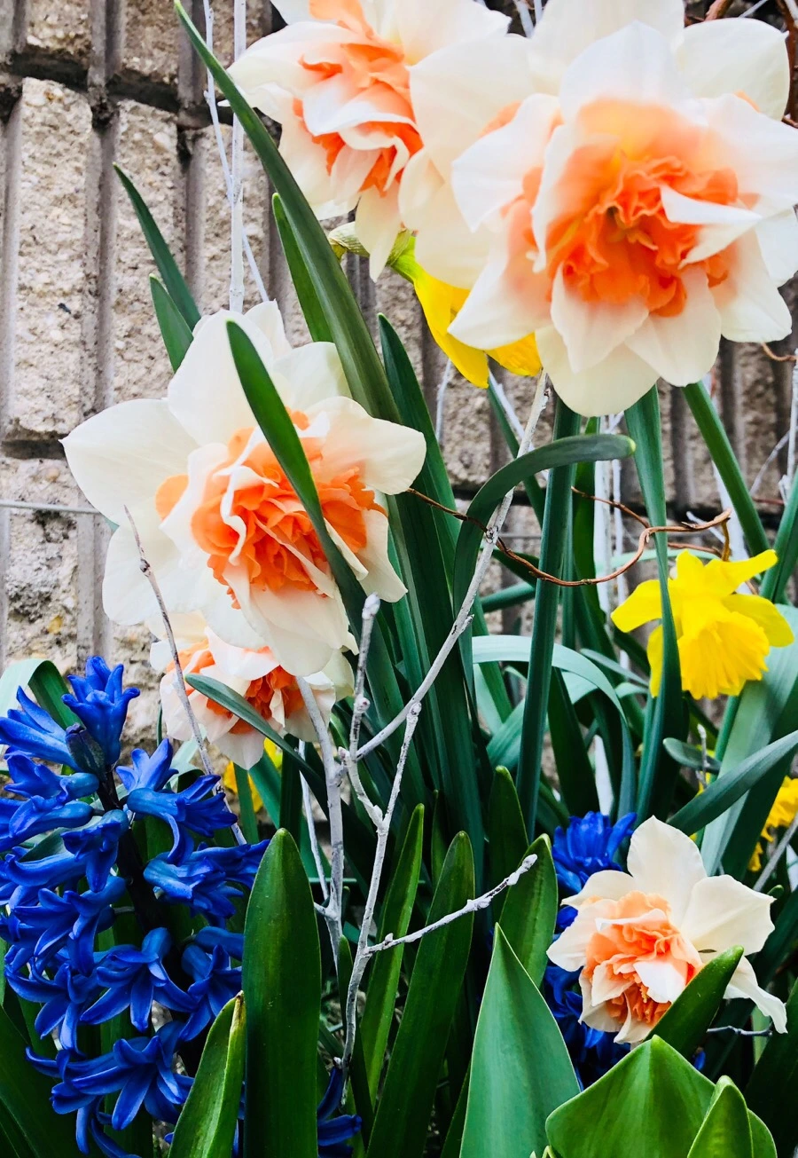 IMG_4280.jpg?type=w966