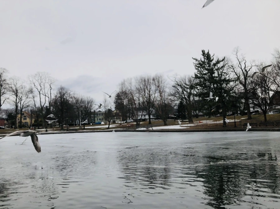 IMG_5969.jpg?type=w966