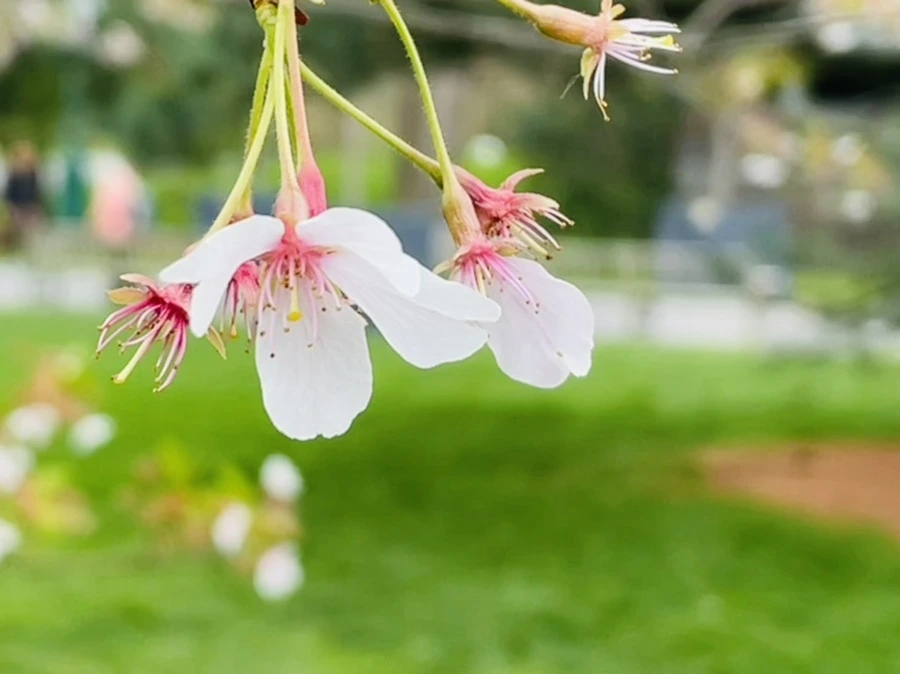 IMG_1401.jpg?type=w966