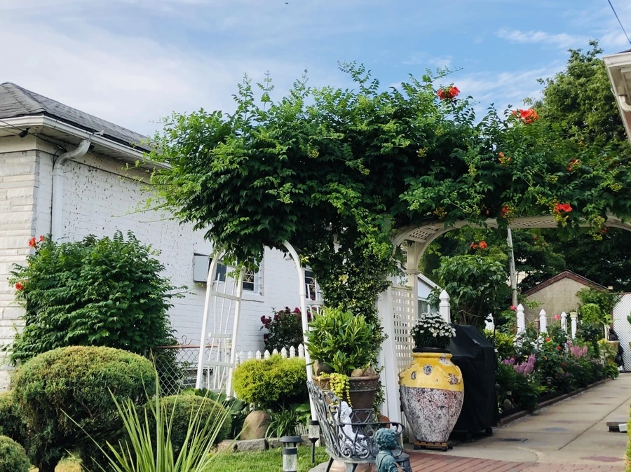 IMG_0444.jpg?type=w966