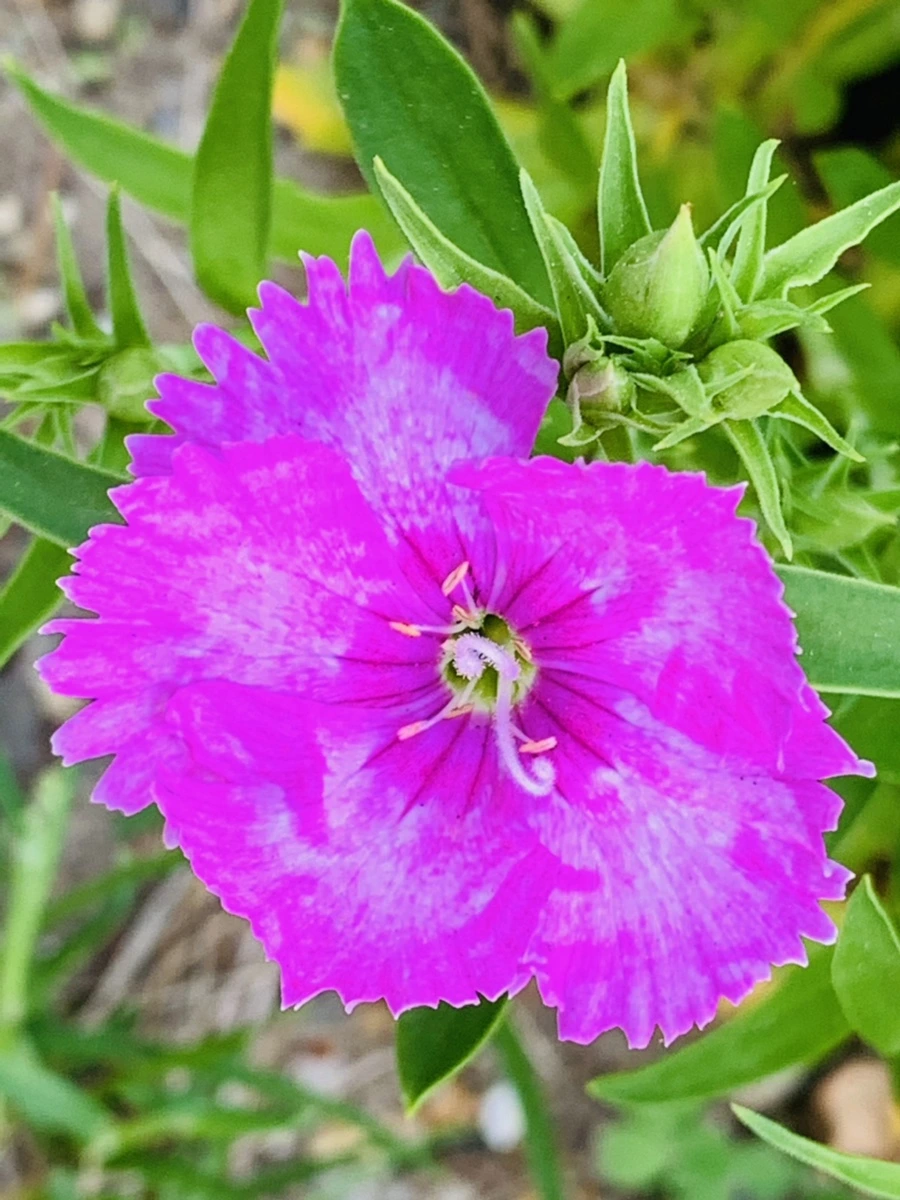 IMG_9020.jpg?type=w966