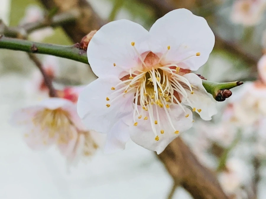 IMG_2372.jpg?type=w966