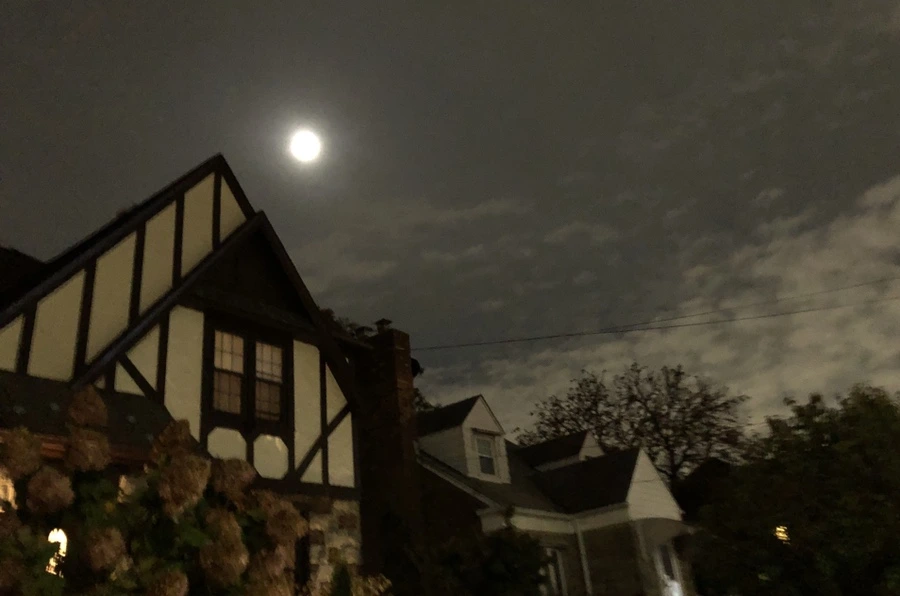 IMG_3117.jpg?type=w966