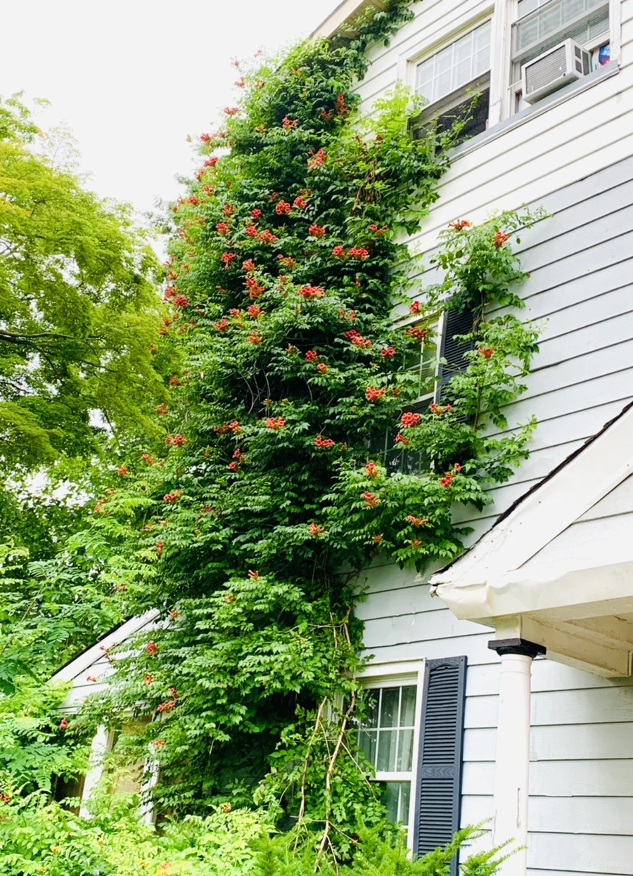 IMG_7120.jpg?type=w966