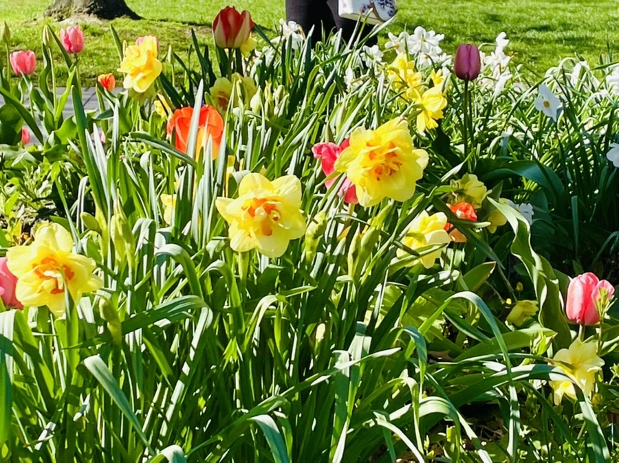 IMG_1543.jpg?type=w966