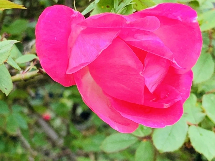 DIEY4-rYKPBxYbI5C7A3xw57OdM