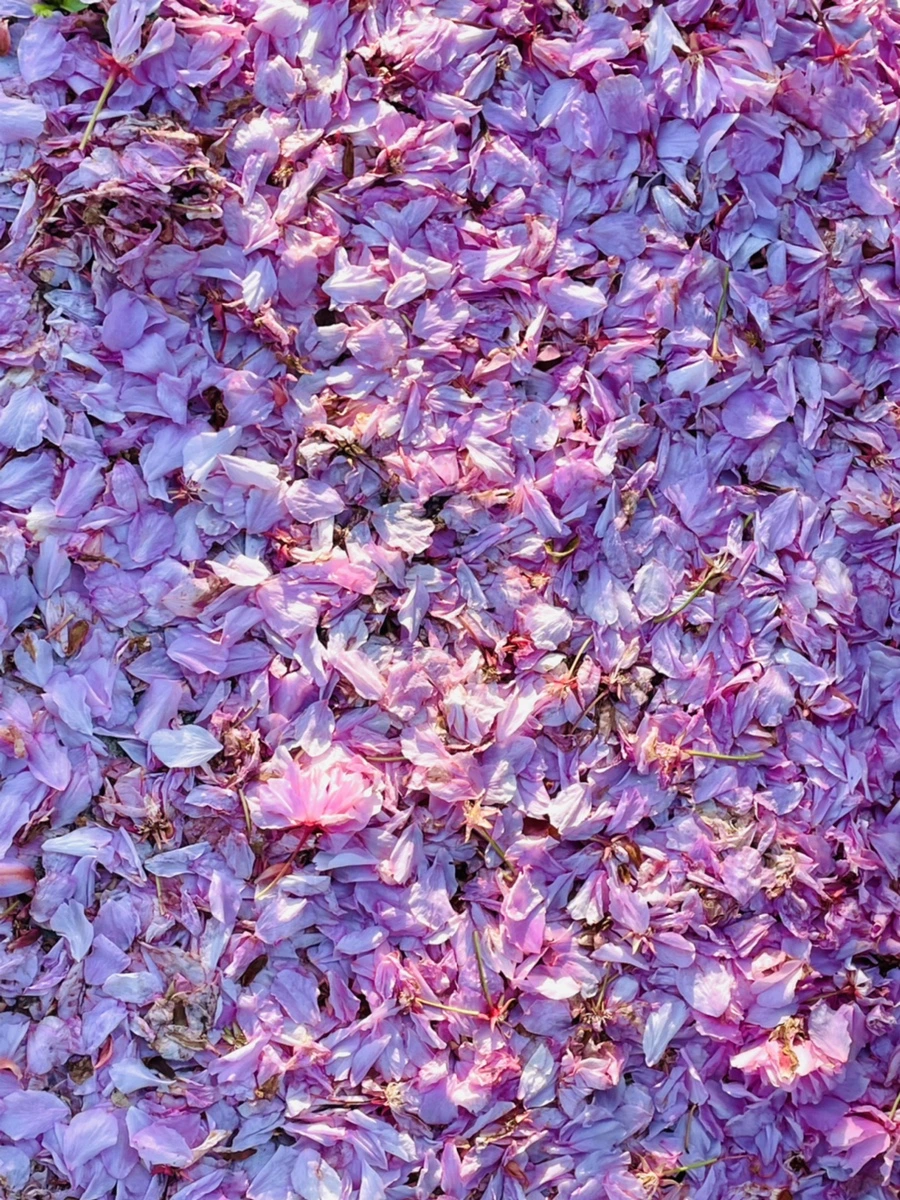 IMG_5896.jpg?type=w966