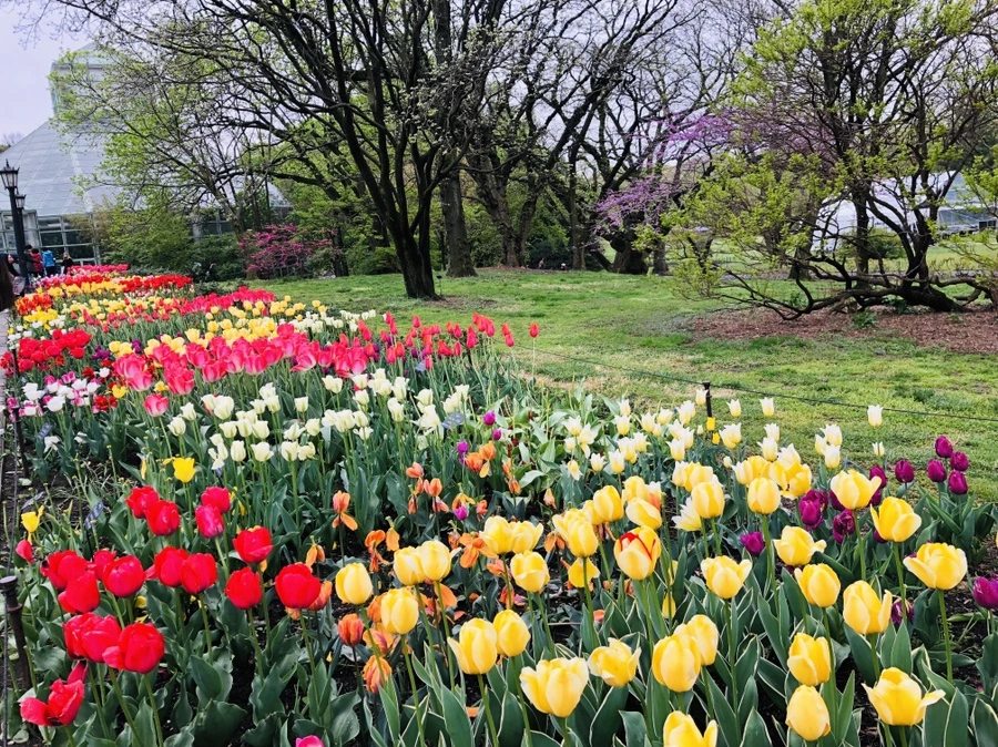 IMG_3714.jpg?type=w966