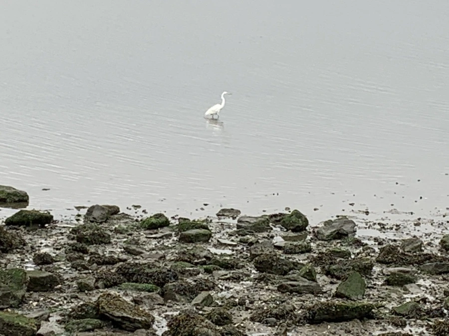 IMG_3640.jpg?type=w966