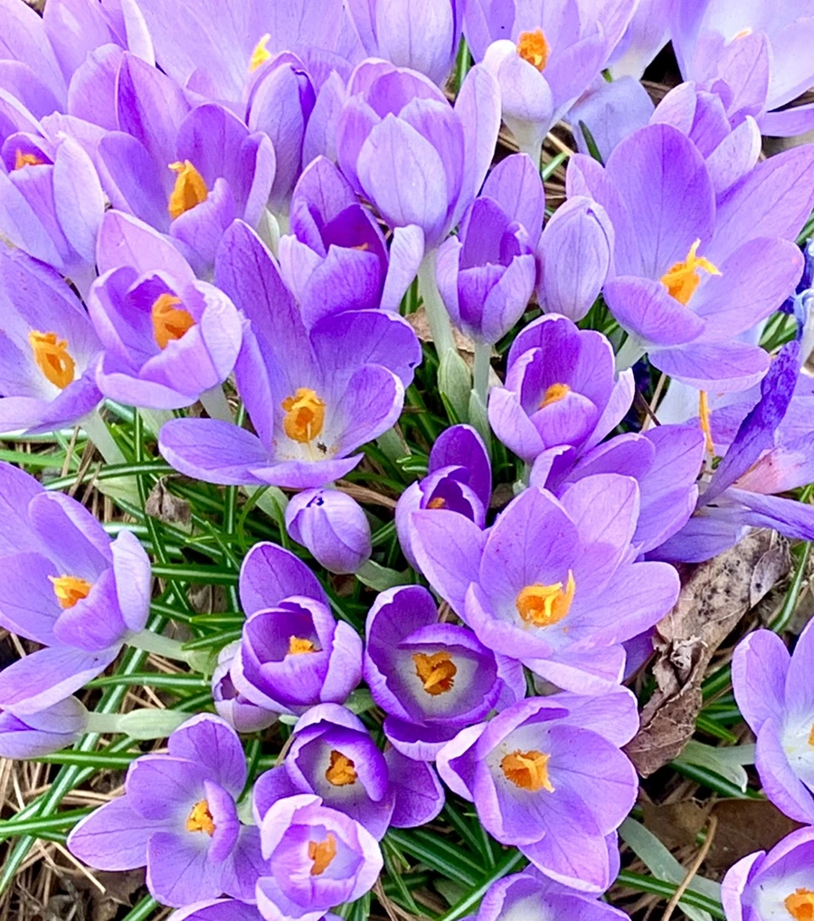 IMG_1261.jpg?type=w966