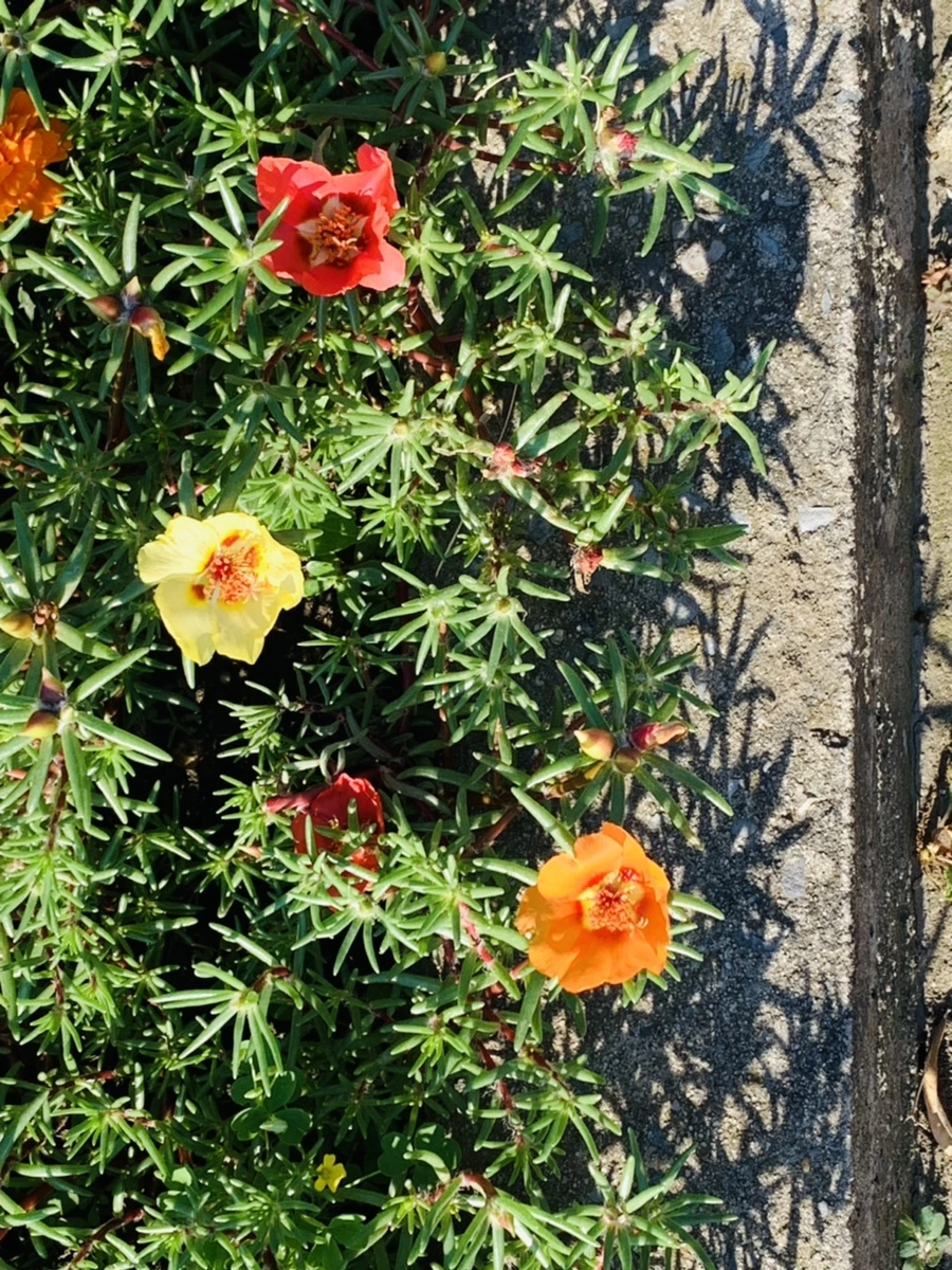 IMG_8423.jpg?type=w966