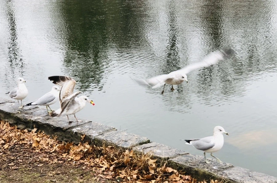 6bAQ6SaPMR8zzr-mVO9cy2t24Sk