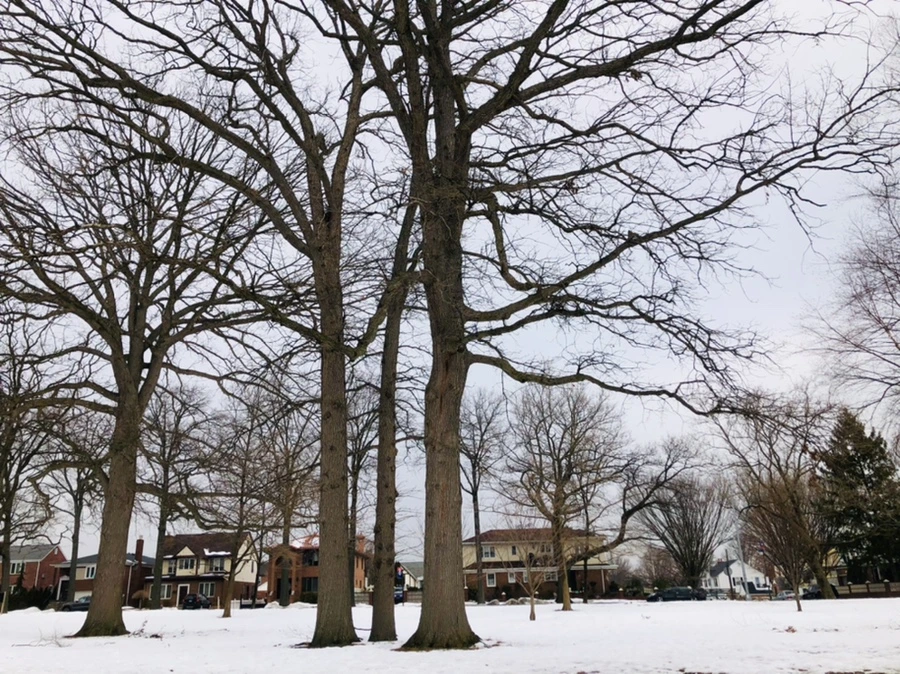 IMG_4364.jpg?type=w966