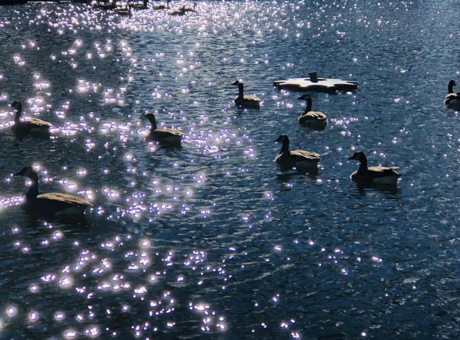 IMG_9189.jpg?type=w966